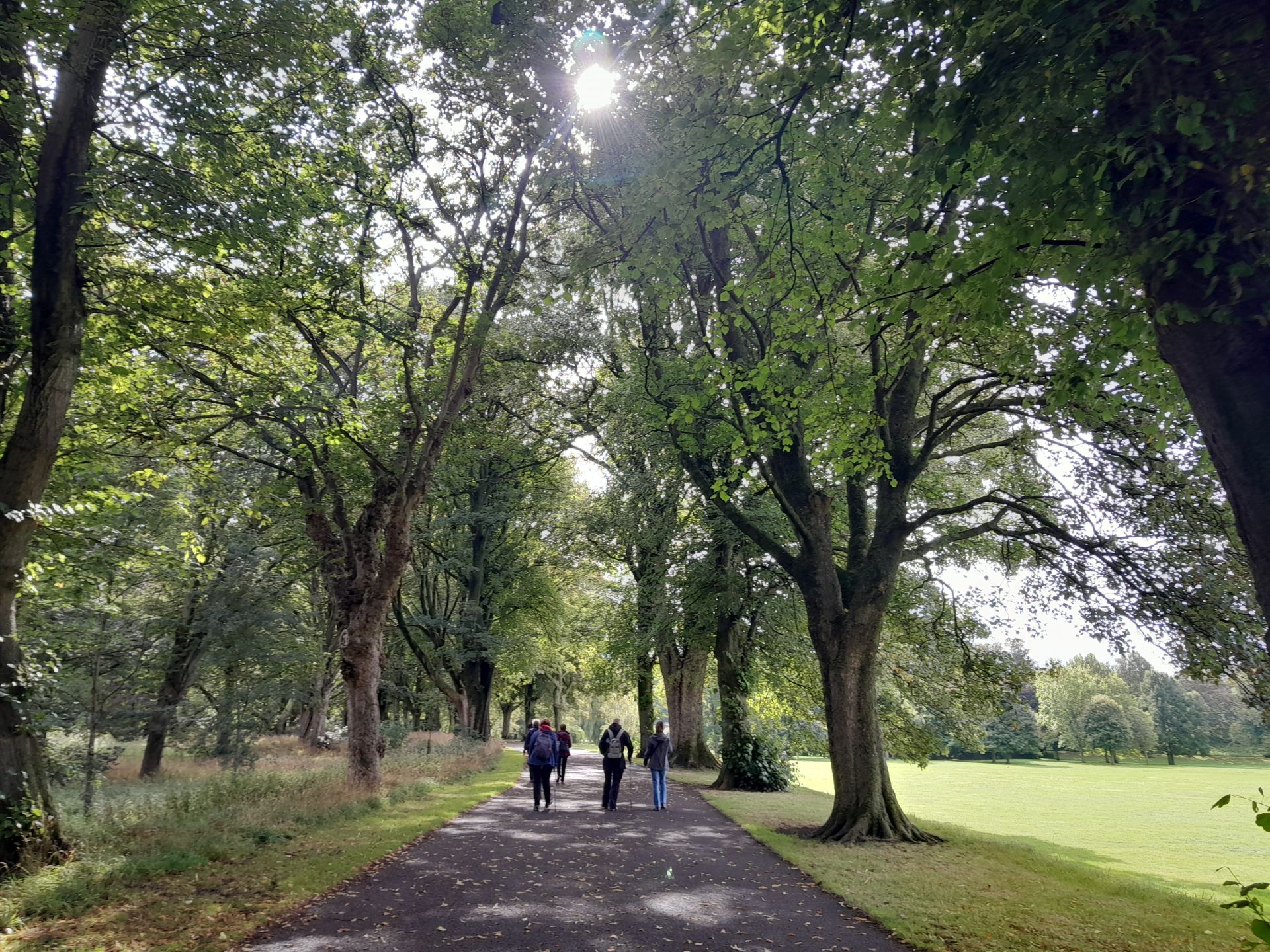 View along Mayors Parade